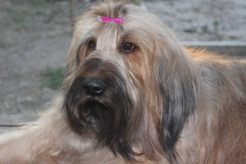 I love you De La Bergerelle