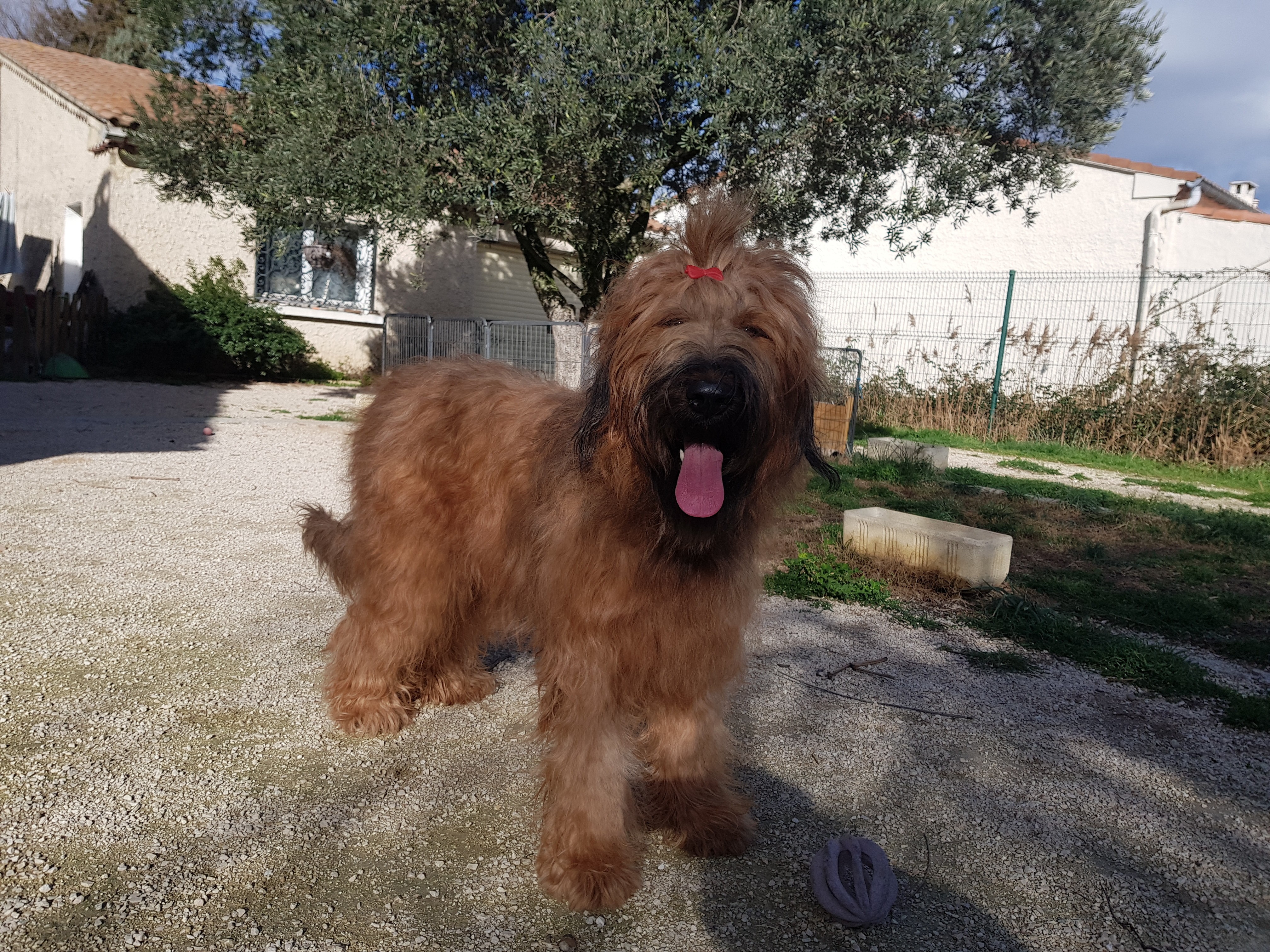 Soleiade De La Bergerelle